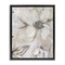 Stupell Industries Sandstone Tone Blooms Floating Frame, design by Carol Robinson